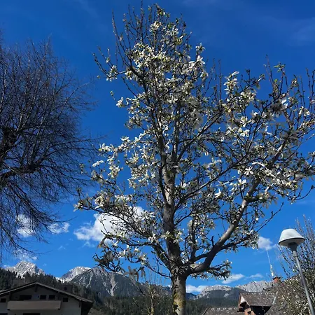Steinberg Appartamento Schladming